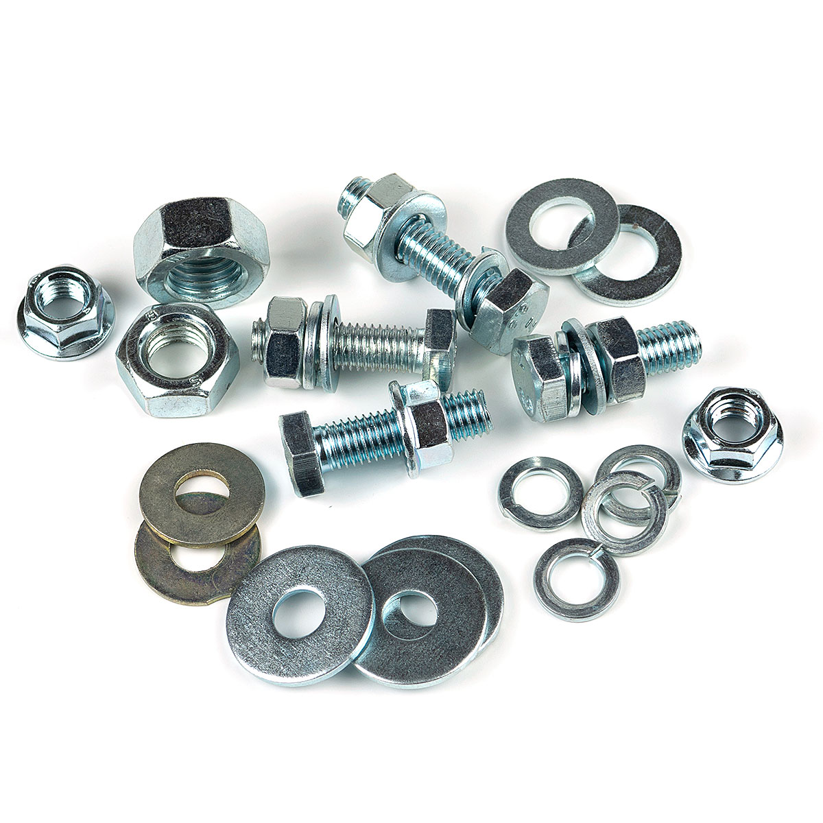 Nuova Bull-Vit Estense SRL Ferrara: magazzino specializzato